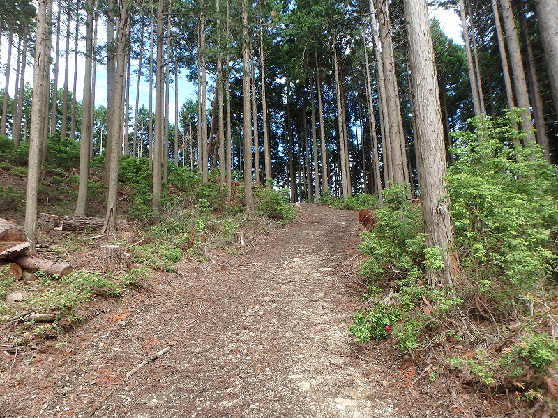 fuuki29.jpg
