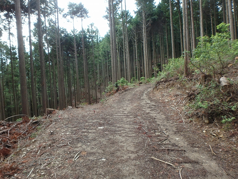 fuuki31.jpg