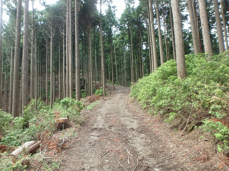 fuuki32.jpg