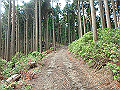 fuuki32_thumb.png