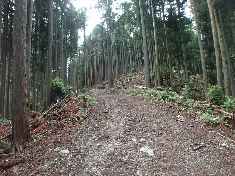 fuuki33.jpg
