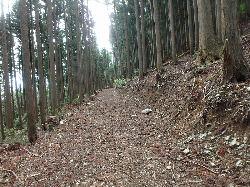 fuuki34.jpg