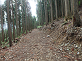 fuuki34_thumb.png