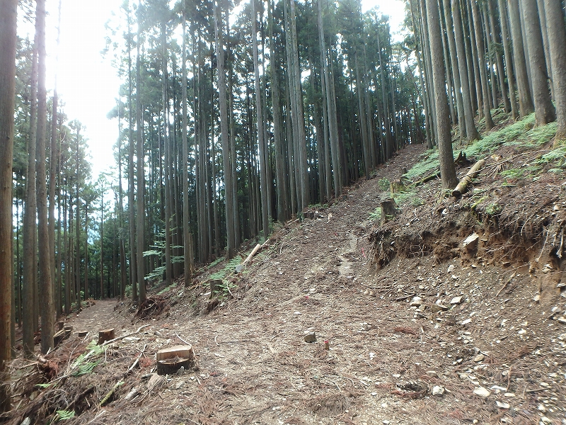 fuuki35.jpg