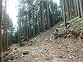 fuuki35_thumb.png