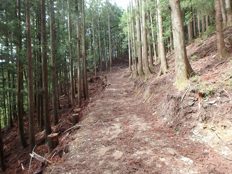 fuuki36.jpg