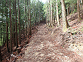 fuuki36_thumb.png