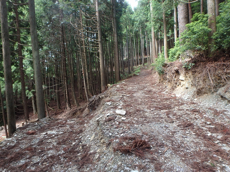 fuuki40.jpg