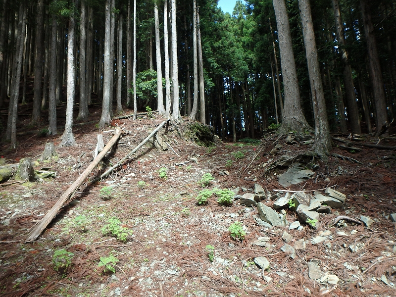 fuuki41.jpg