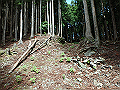 fuuki41_thumb.png