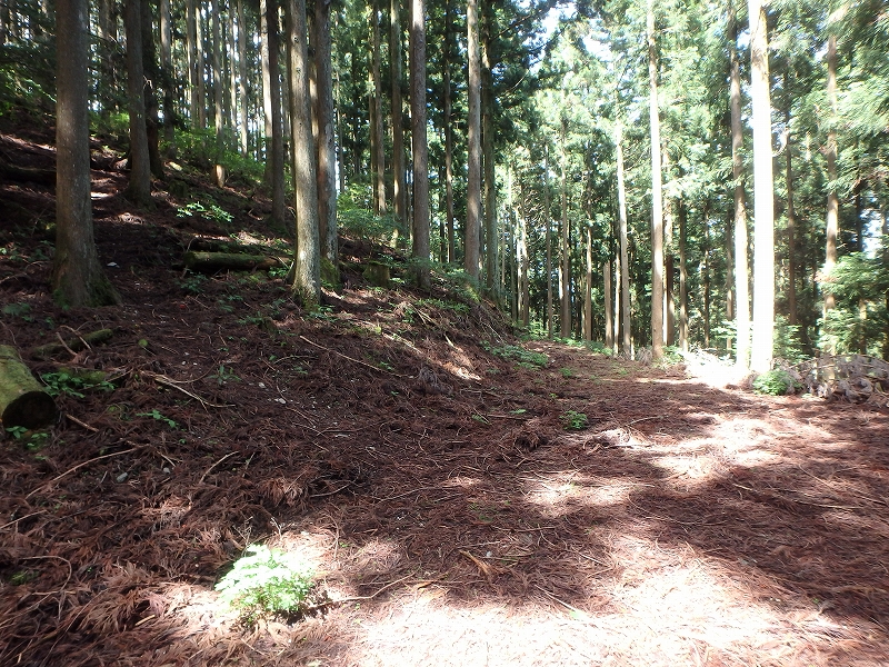 fuuki43.jpg