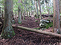 fuuki46_thumb.png