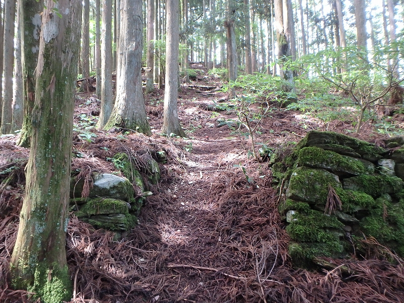 fuuki47.jpg