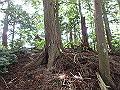 fuuki49_thumb.png