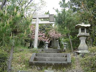 hakama20.jpg