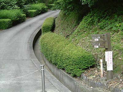 kami06.jpg