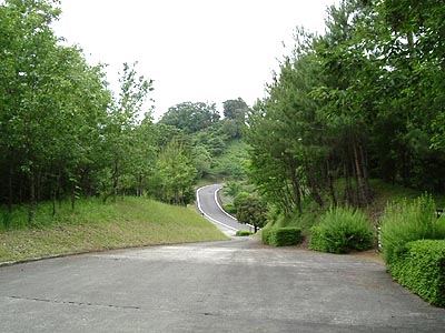 kami14.jpg