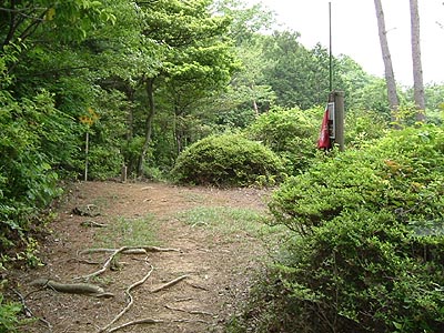 kami29.jpg
