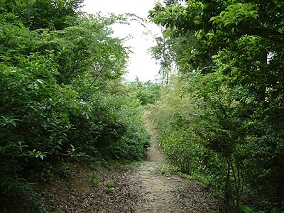 kami33.jpg