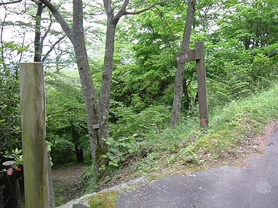 kami36.jpg