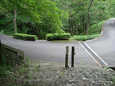 kami37.jpg