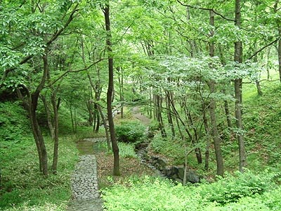kami38.jpg