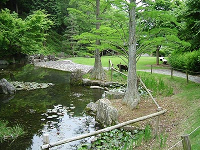 kami41.jpg