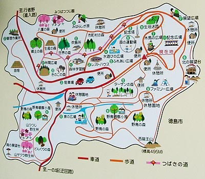 kami45.jpg