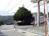 keno05_thumb.png