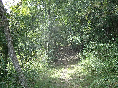 koutu07.jpg