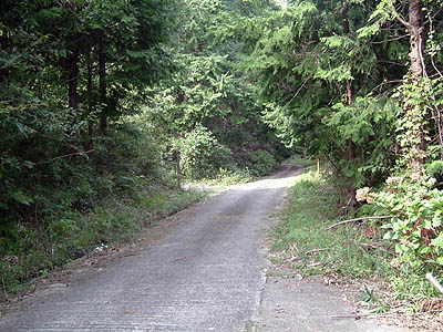 koutu13.jpg