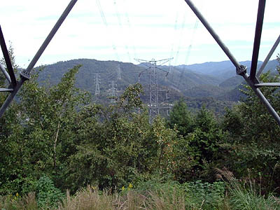 koutu16.jpg