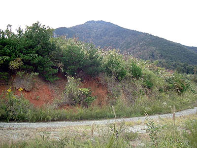 koutu29.jpg