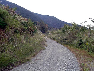 koutu32.jpg