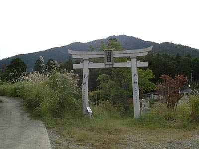 koutu35.jpg