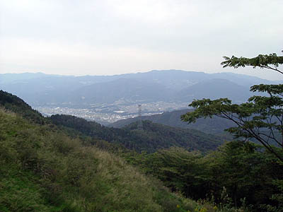 koutu37.jpg