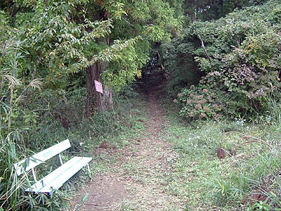 koutu40.jpg