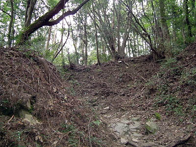 koutu43.jpg