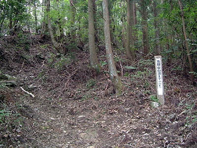 koutu44.jpg