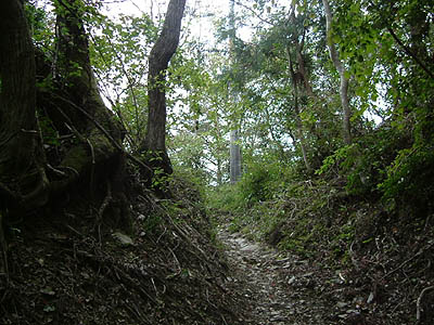 koutu45.jpg