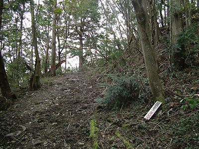 koutu46.jpg