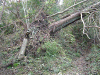 koutu47_thumb.png
