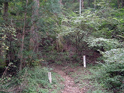 koutu49.jpg