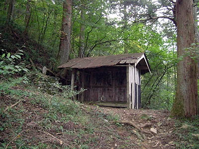 koutu50.jpg