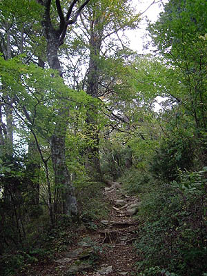 koutu51.jpg