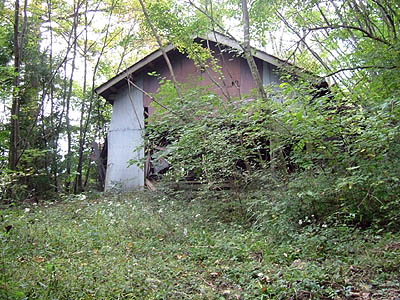 koutu52.jpg