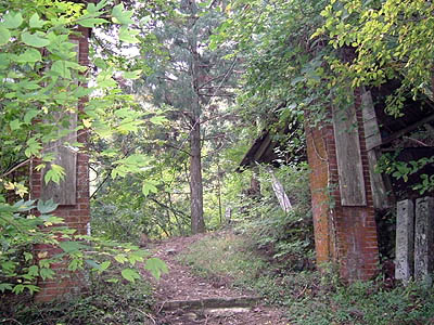 koutu53.jpg