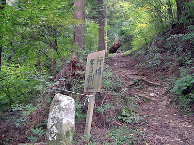koutu54.jpg