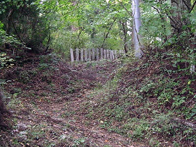 koutu55.jpg