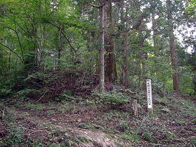 koutu56.jpg
